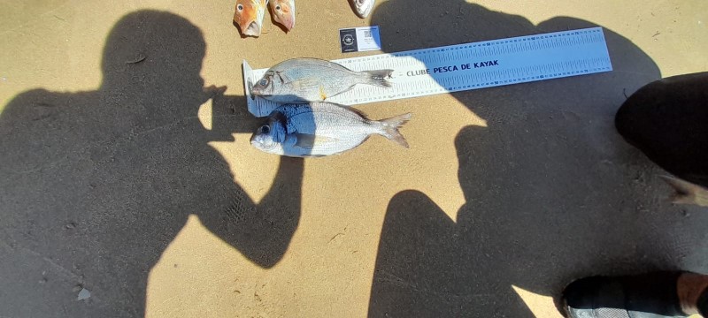 Fish Measure Picture